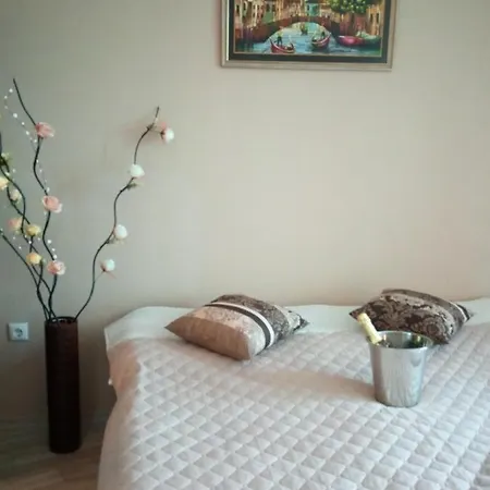Apartament Sunny Studio